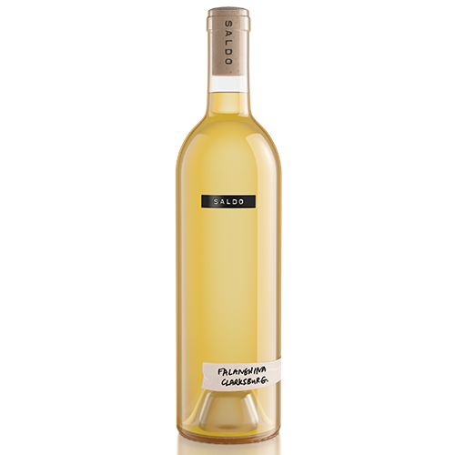 SALDO Falanghina orange skin contact wine bottle on white background